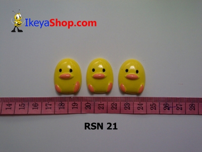 rsn 21  large2
